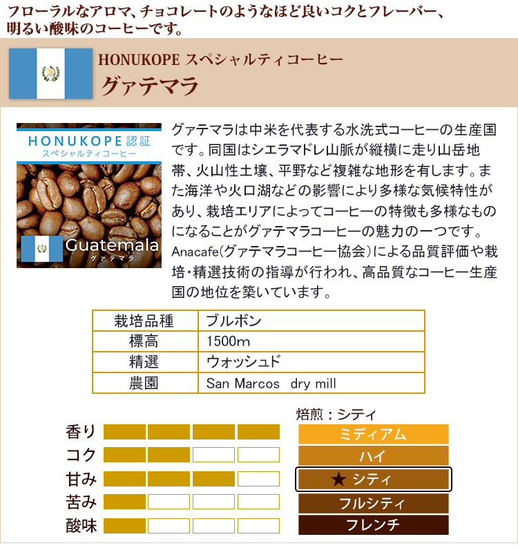 グァテマラHONUKOPEスペシャルティ珈琲豆