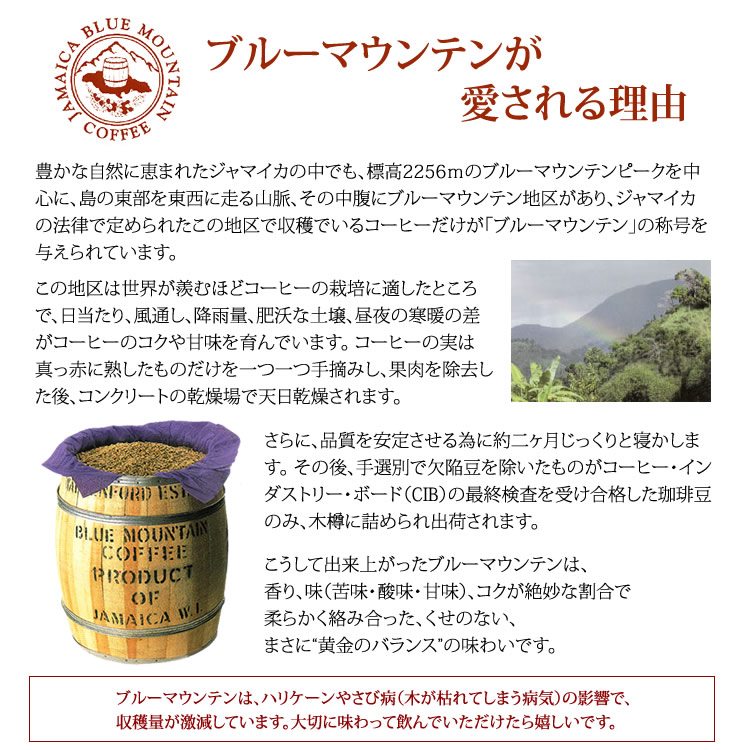 黄金のバランスで愛されているブルーマウンテン