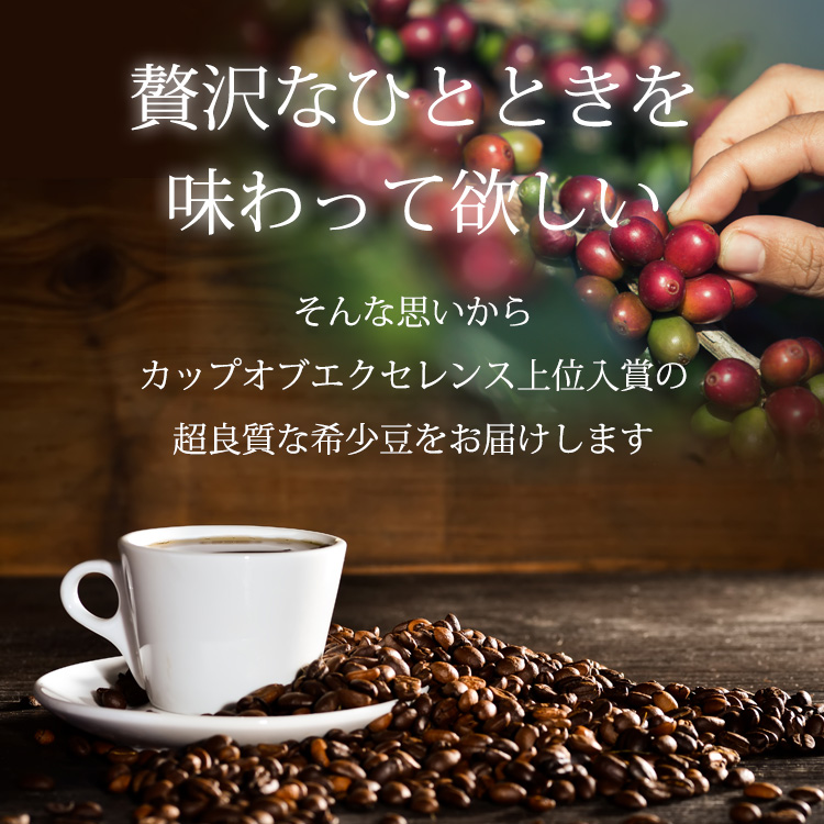 レオンの休日