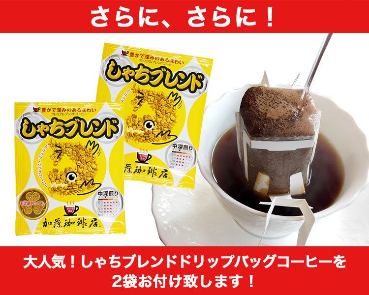 加藤珈琲店お手軽お試しセット ネコポス(G100g・夏100g・鯱DB2) /珈琲