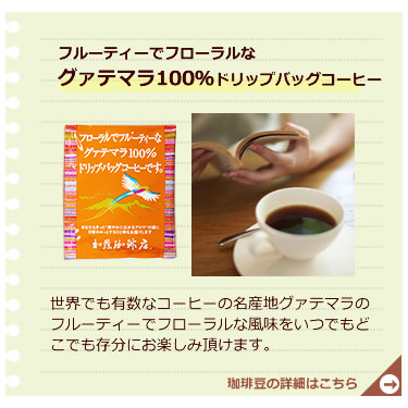 DBグァテマラ