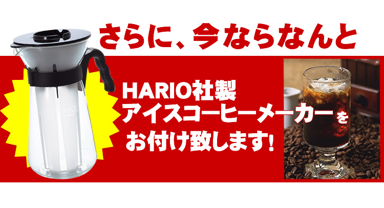 HARIO社製アイスコーヒメーカー