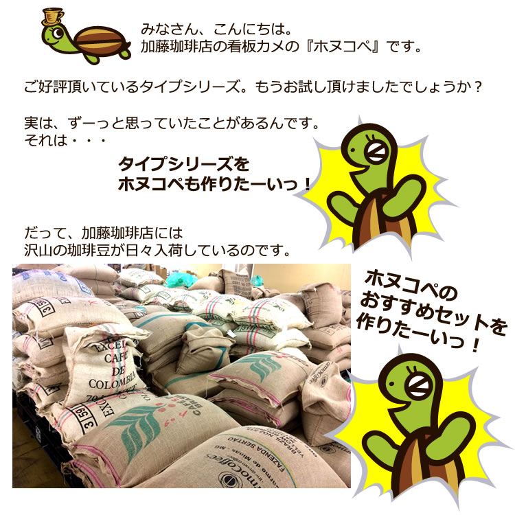 大好評のタイプシリーズ
