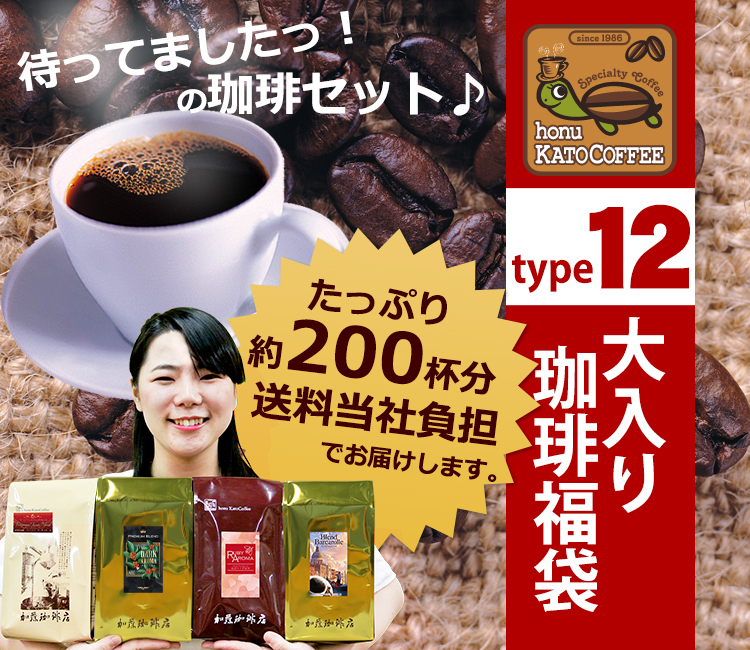 タイプ12