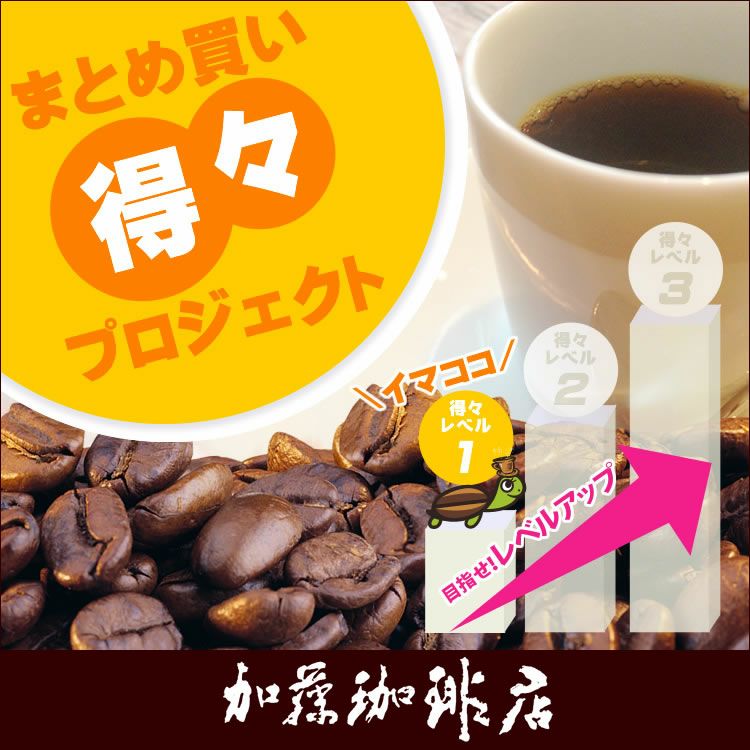 nobutomoさん専用　3点まとめ買い 200g×1袋】まとめ買い得々プロジェクト/珈琲豆 | honu加藤珈琲店株式会社