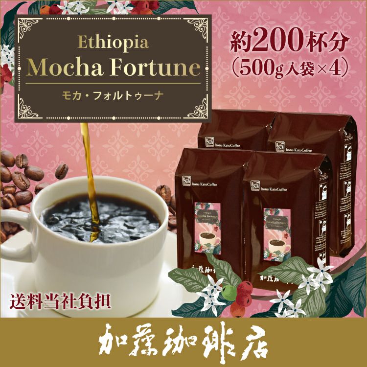エチオピア モカ・フォルトゥーナ珈琲2kgセット(フォルト×4)/珈琲豆