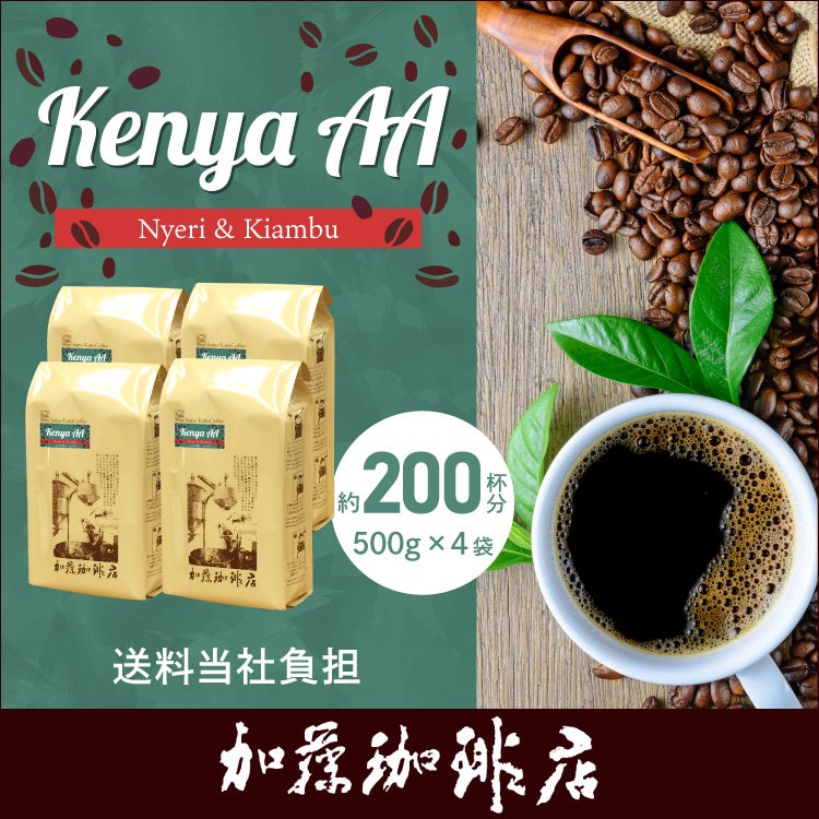 業務用卸メガ盛り2kg】ケニアAA（Nyeri & Kiambu）[ケニAA×4] /珈琲豆